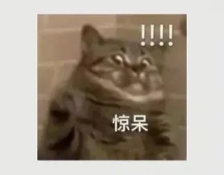 韦老师五国语言4000核心词汇速记营