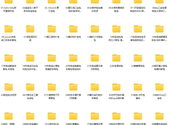 《包包编织：100个精品款式实例》