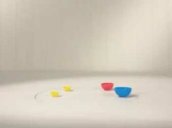 趣趣知知鸟全50集早教动画