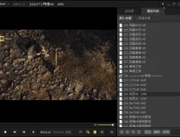 视频播放器PotPlayer去广告绿色版