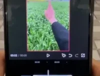 安先生新媒体导演课：涵盖短视频运营、爆款创作与流量变现