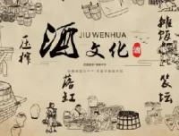 《酒与养生：喝酒技术全解析》