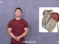 一介粗人×麦大湿：肩部训练3大核心技巧与错误纠正课程