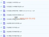 高三高考赵星义物理A+寒假班
