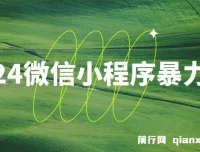 2024微信小程序暴力挂机项目：搭建小程序植入广告盈利