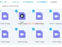 考试各科全记牢-16集课程（叶瑞财）