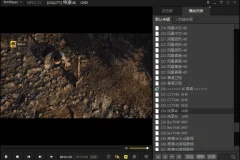 视频播放器PotPlayer去广告绿色版