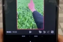 安先生新媒体导演课：涵盖短视频运营、爆款创作与流量变现