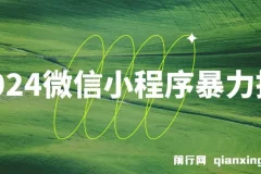 2024微信小程序暴力挂机项目：搭建小程序植入广告盈利