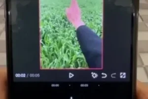 安先生新媒体导演课：涵盖短视频运营、爆款创作与流量变现