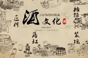 《酒与养生：喝酒技术全解析》