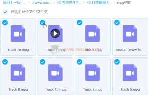 考试各科全记牢-16集课程（叶瑞财）
