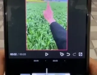 安先生新媒体导演课：涵盖短视频运营、爆款创作与流量变现