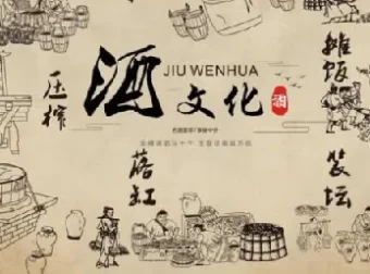 《酒与养生：喝酒技术全解析》