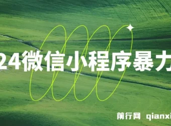 2024微信小程序暴力挂机项目：搭建小程序植入广告盈利