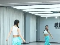 大陈热门编舞668节全套教程