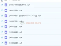 琦哥英语课程三套合集