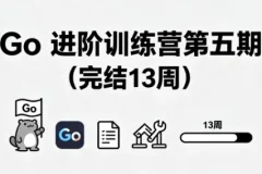 Go 进阶训练营第五期（完结 13 周）