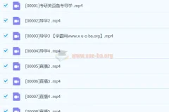 琦哥英语课程三套合集