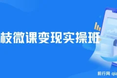 《荔枝微课变现实操班：全方位掌握荔枝微课变现技巧》