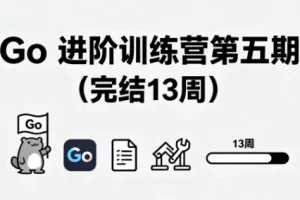 Go 进阶训练营第五期（完结 13 周）
