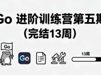 Go 进阶训练营第五期（完结 13 周）