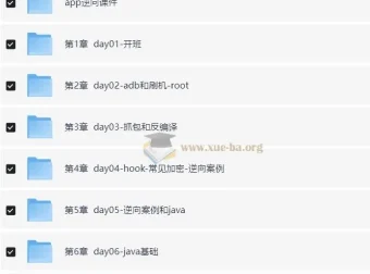 爬虫开发与APP逆向超级大神班