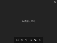 Pineapple Pictures(菠萝看图)绿色版