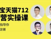 淘宝天猫运营实操课