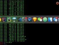 程序员算法面试通关40讲：高效掌握数据结构与算法