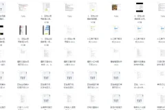 豆包AI高阶视频教程：精准提示词合集，大模型通用