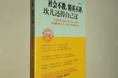 《社会不教，精英不讲，坎儿还得自己过》：一本给社会精英的人生建议书