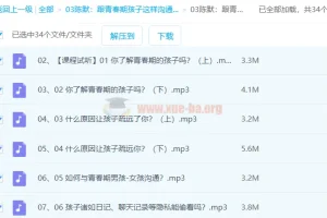 陈默：跟青春期孩子这样沟通就对了（2.0版）音频