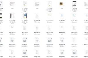 豆包AI高阶视频教程：精准提示词合集，大模型通用