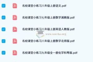 名校课堂小练习（七至九年级多学科适用）