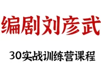 编剧刘彦武30天实战训练营