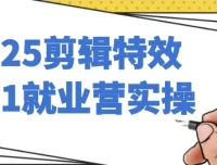 剪辑特效1对1就业营实操