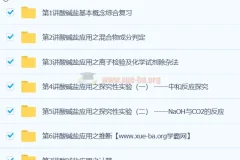 中考化学专题：元素化学课程