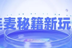 连麦秘籍新玩法：时薪50，碎片时间轻松日赚200+【揭秘】