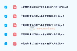 王朝霞期末活页卷：1 – 6年级全学科同步试卷