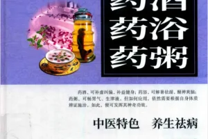 《药酒 药浴 药粥：中医特色养生祛病之法》