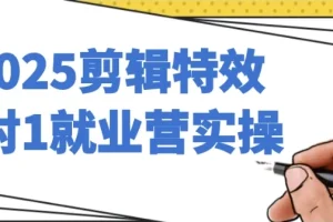 剪辑特效1对1就业营实操