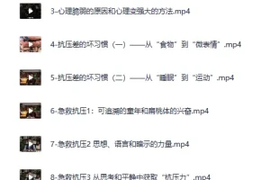 心理灵客松明《玩转压力》：积极情绪养成与压力管理课