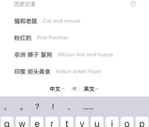 国外美食与视频创业全攻略课程：从素材搜索到抖音运营