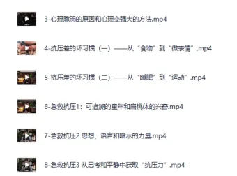 心理灵客松明《玩转压力》：积极情绪养成与压力管理课