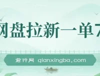 纯搬运做网盘拉新：一单7元，最高单日收益40000+（保姆级教程）