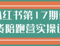小红书第17期带货陪跑营实操课