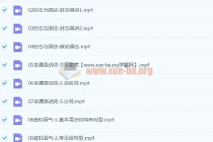 大学英语四级语法基础巩固14课时课程