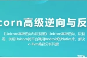 Unicorn高级逆向工程与代码反混淆课程