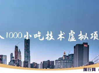 日入1000小吃技术虚拟项目：开启小吃年入百万之路